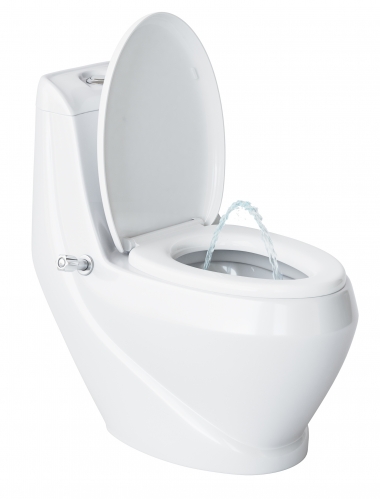 Унитаз моноблок Laguraty 2160AC (2160A-1) с функцией биде